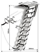 ��������� �����