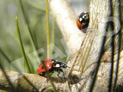 ������� ��������� �� ������ �����