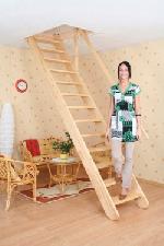 �������� ���� | ���������� ��������  MP