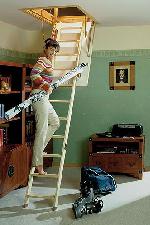 ��������� �������� | Extra LTK / Extreme � ���. ����������