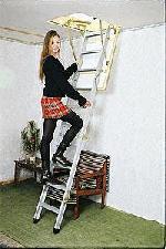 �������� ����������� ��������� ���� PROFI