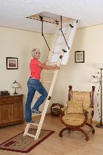 ��������� �������� ����� | ����� / ���� ���� / ��������