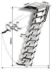 ��������� �����